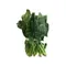 Spinach
