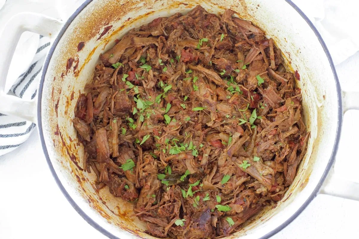 Mexican Shredded Beef