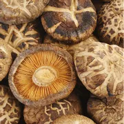 Champs Shiitake Mushrooms
