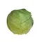 Organic Wrapped Cabbage
