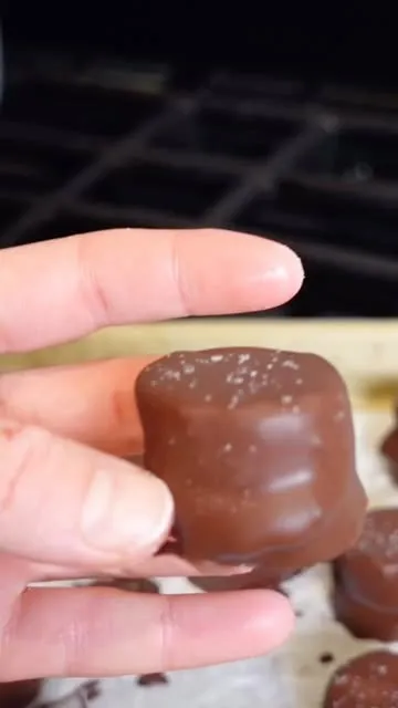 Chocolate Almond Butter Banana Bites