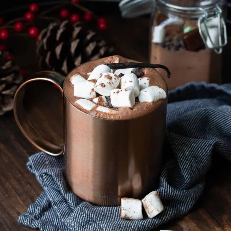 Homemade Hot Chocolate Mix Recipe (Vegan Option)