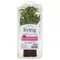 North Shore Living Herbs + Greens Rosemary