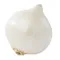 Organic White Onion