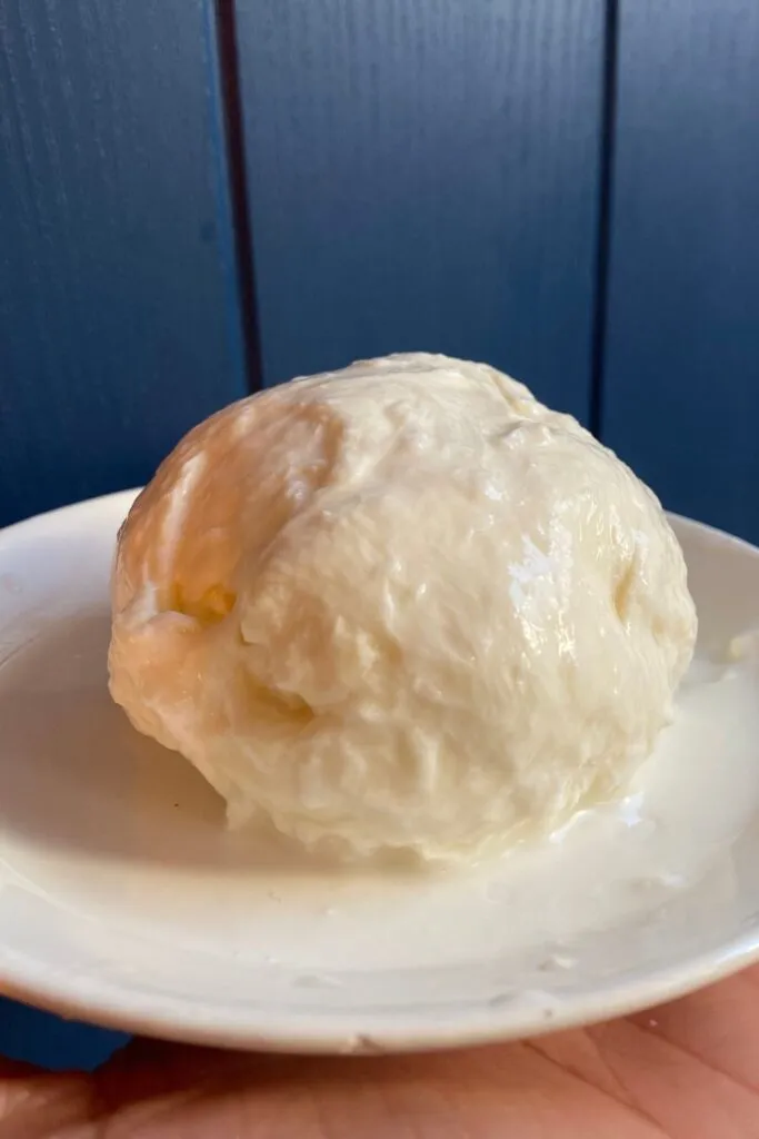 Instant Pot Mozzarella Cheese