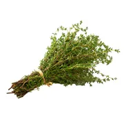 Shenandoah Growers Fresh Thyme