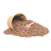Dried Pinto Beans