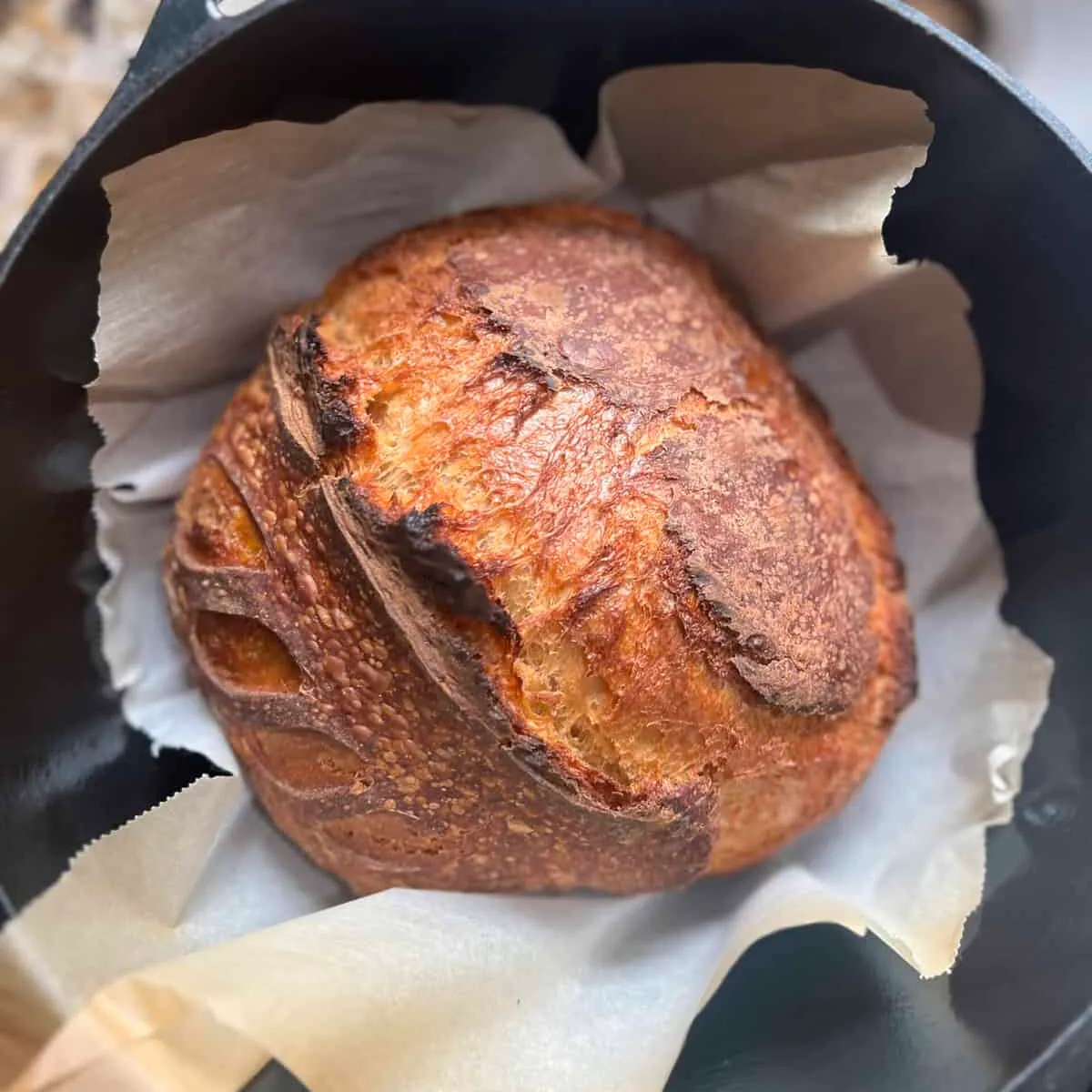 Gingerbread Sourdough