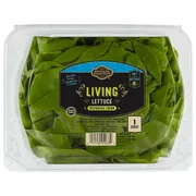 Private Selection Living Lettuce