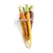 Organic Rainbow Carrot
