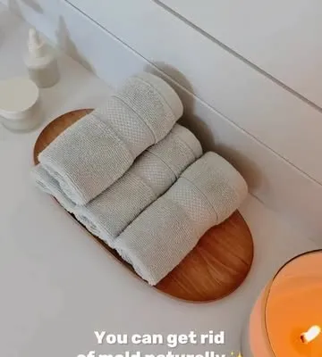 Recipe 'Natural Mold Remover'