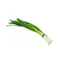 Boskovich Green Onions