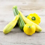 Organic Mixed Summer Squash