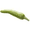 Shishito Pepper