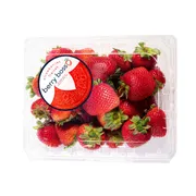 Berry Boss Strawberries
