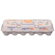 Lucerne Eggs, Brown, Cage Free, Extra Large