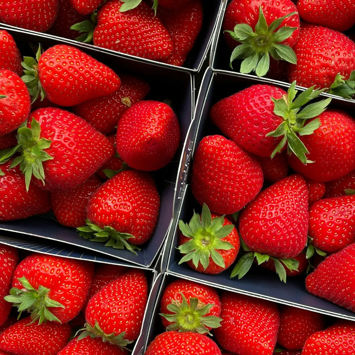 How to Freeze Strawberries