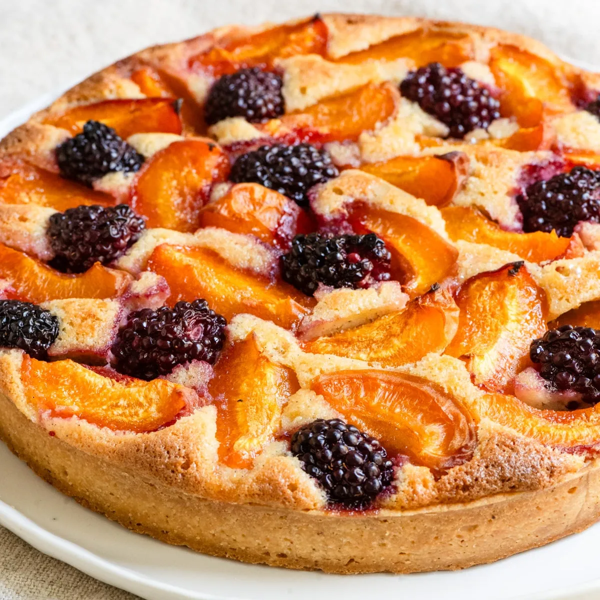 French Blackberry Apricot Tart