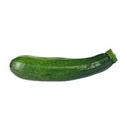 Zucchini Squash