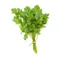 Fresh Parsley (1 Bunch)