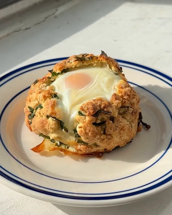 Ramp & Cheddar Biscuit