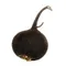 Black Spanish Radish
