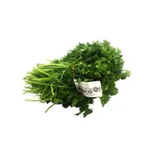 Little Bear Curly Parsley