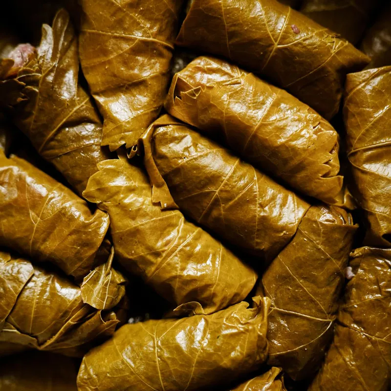 Greek Dolmades Recipe with Lemon Sauce