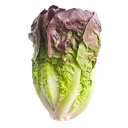 Organic Red Romaine Lettuce