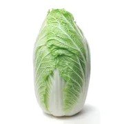 Napa Cabbage