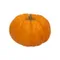 Mini Orange Pumpkins