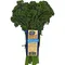 Broccolini