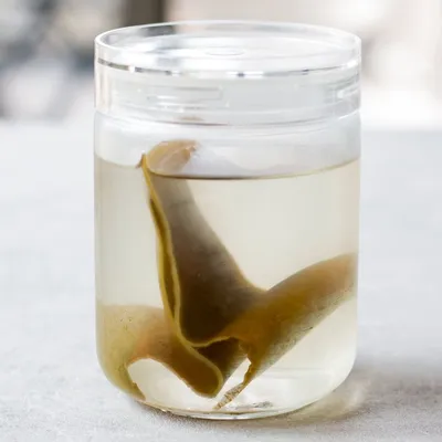 Recipe 'Easy Cold-Brewed Kombu Dashi Recipe'