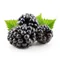 Blackberries
