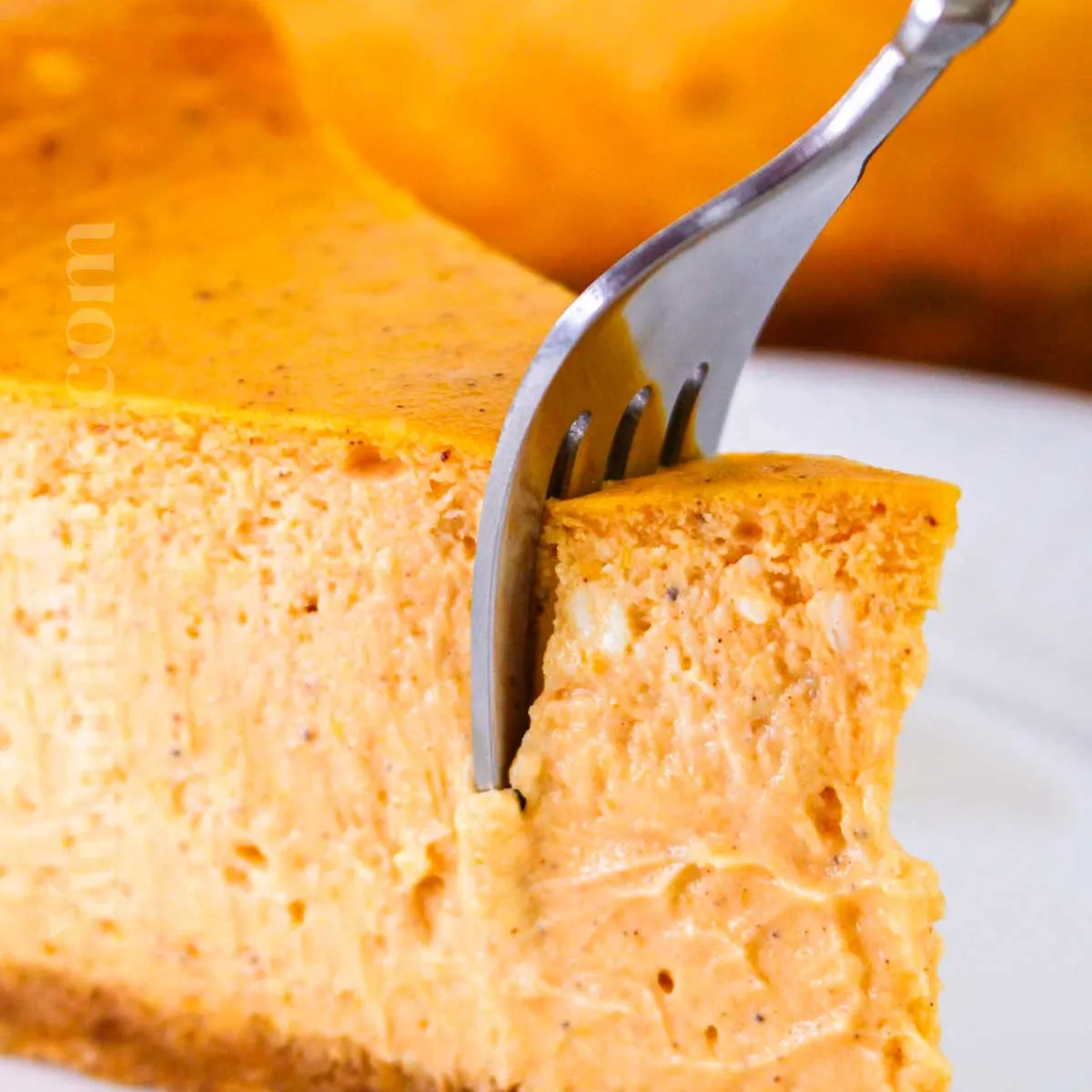 Pumpkin Cheesecake - Cheesecake Factory Copycat