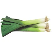 Leek