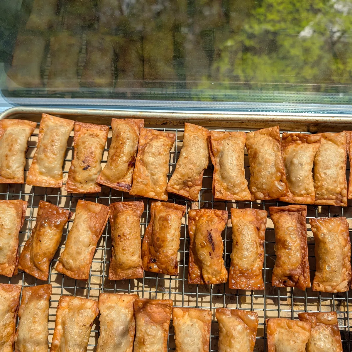 Beef Wontons