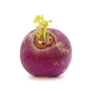 Organic Turnip