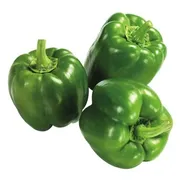 Green Bell Peppers Med.