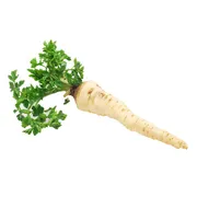 Organic Parsley Root