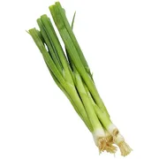 Onion Green Scallion Conventional, 1 Bunch