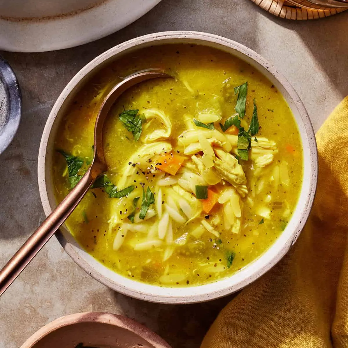 Healing One Pot Chicken Orzo Soup