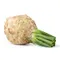 Celery Root