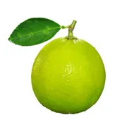 Key Lime