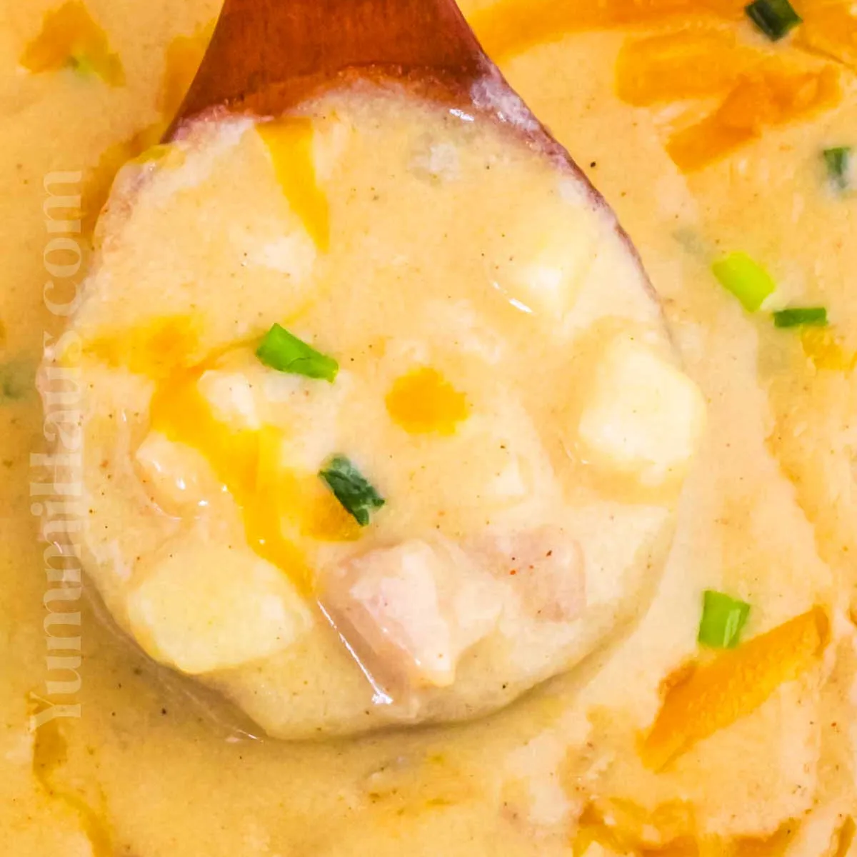 Cheesy Ham and Potato Soup