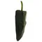 Chilaca Peppers