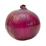 Large Red Onions