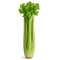 celery