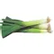 Leek