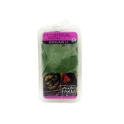 Jacobs Farm Organic Basil